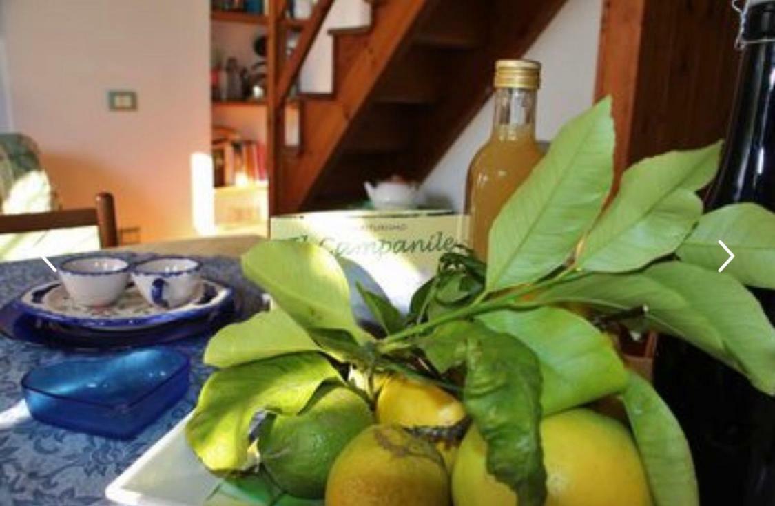 Casa Ortensia Minori Extérieur photo